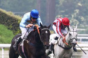 La Haye Jousselin : Carriacou and Bipolaire head on La Haye Jousselin : Carriacou and Bipolaire head on