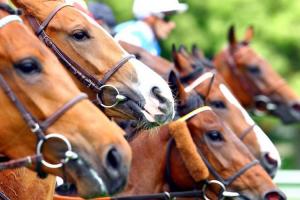 2019 October Maiden winners 2019 October Maiden winners