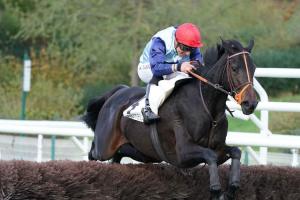 Grand Prix de Pau : 5yo mare Laterana defeats old guard