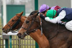 Sectional timing on January 24 at Chantilly