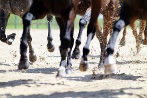 Les chronos partiels du samedi 4/1 à Deauville Les chronos partiels du samedi 4/1 à Deauville