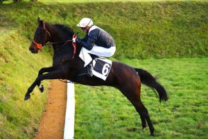 Pau finale a great success