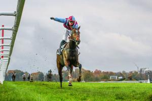 Juigné Hurdle : Newcomers face old guard Juigné Hurdle : Newcomers face old guard
