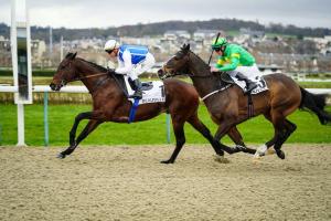 Sectional timing on February 28th at Deauville Sectional timing on February 28th at Deauville