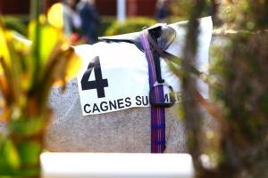 Harmless & Mariafoot open the 2020 French Pattern program