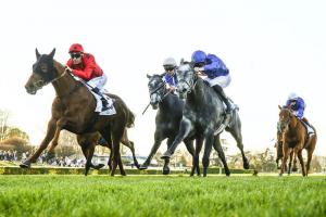 Back in 2019: The Revenant keeps it coming