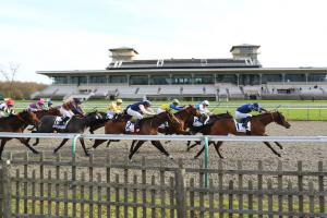 Renforcement des mesures de prévention sur l'hippodrome de Chantilly Renforcement des mesures de prévention sur l'hippodrome de Chantilly