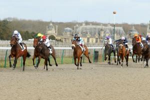 Réunions à huis clos à Chantilly du 9 au 13 mars 2020 Réunions à huis clos à Chantilly du 9 au 13 mars 2020