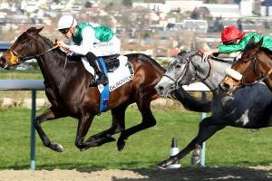 Sectional timing on March 6 at Deauville Sectional timing on March 6 at Deauville