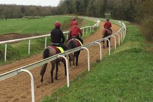 Formulaires à télécharger pour les déplacements des salariés des écuries et des hippodromes Formulaires à télécharger pour les déplacements des salariés des écuries et des hippodromes