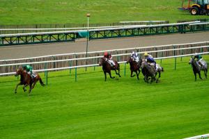 Back in 2019: Sottsass enters classic fray with class