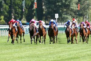 Dispositif spécial pour les Poules d'Essai à huis-clos