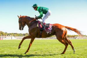 Harcourt: We are all waiting for Sottsass's return Harcourt: We are all waiting for Sottsass's return