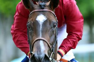 Grotte: Tropbeau spot on Grotte: Tropbeau spot on