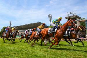 Déplacement des réunions situées en zone rouge du jeudi 21 mai au dimanche 24 mai Déplacement des réunions situées en zone rouge du jeudi 21 mai au dimanche 24 mai