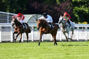 Amadou 4YO Hurdle Race: Kool and Moises celebrate Hamel Stud Amadou 4YO Hurdle Race: Kool and Moises celebrate Hamel Stud