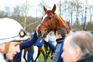 La Force : The hopefuls' Stakes La Force : The hopefuls' Stakes