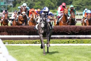 Historique de la Grande Course de Haies de Printemps : Le Président des hurdlers Historique de la Grande Course de Haies de Printemps : Le Président des hurdlers