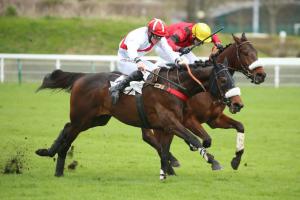 Jean Stern 4yo Chase: A star will shine Jean Stern 4yo Chase: A star will shine