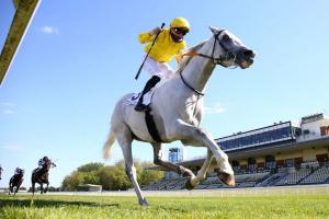 Grand Prix de Chantilly: Way to Paris, also available in Deauville Grand Prix de Chantilly: Way to Paris, also available in Deauville