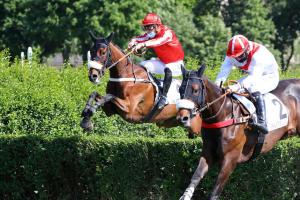 Jean Stern 4YO Chase: Gardons Le Sourire is not joking Jean Stern 4YO Chase: Gardons Le Sourire is not joking