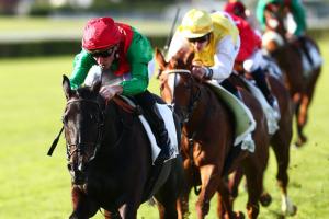 Vanteaux: Those who should and those who dare Vanteaux: Those who should and those who dare