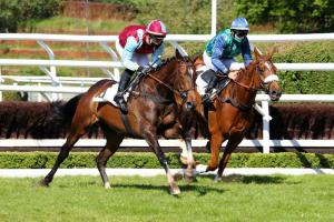 Léon Rambaud Hurdle Race: L'Autonomie rules again Léon Rambaud Hurdle Race: L'Autonomie rules again