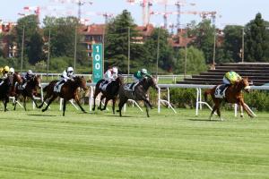 2020 May maiden winners 2020 May maiden winners