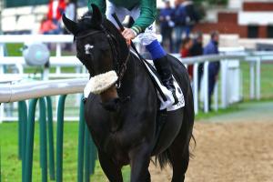 Greffulhe: Classic crossroad Greffulhe: Classic crossroad