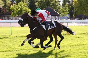 Alain du Breil 4yo Hurdle: For Fun is getting serious Alain du Breil 4yo Hurdle: For Fun is getting serious