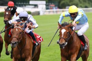 Corrida : Une pointe d'Ambition a suffi