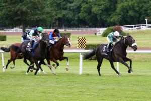Greffulhe : Gold Trip trouve son parcours