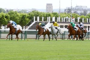 Ganay : Nouveau verdict pour Sottsass