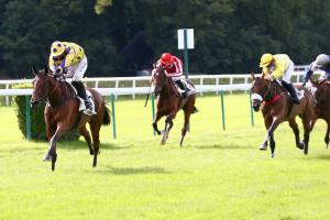 Christian de Tredern : Séduction n'attend personne