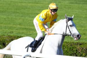 Grand Prix de Saint-Cloud preview: Good times for Way to Paris