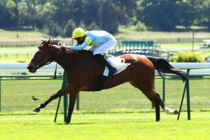 Corrida : Grand Glory suit son chemin