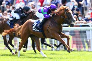 Cabourg History: Another way to the Morny