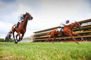 Malleret Report: Vaucelles has found her game