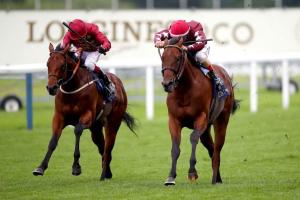 Darley Robert Papin Preview: Another trip for The Lir Jet