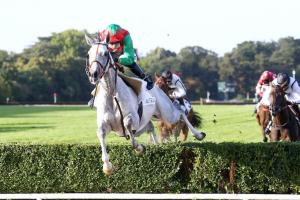 La Périchole 4yo Chase Report: Le Berry impresses again!