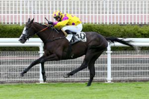 La Barka Hurdle Race Report: Porto Pollo seize the day