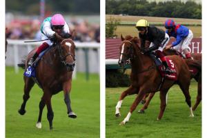 Qatar Arc Road: Stradivarius-Enable to meet at ParisLongchamp!