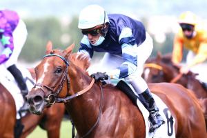 Barrière Meautry Preview: First speed date Barrière Meautry Preview: First speed date