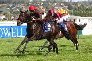 Shadwell Daphnis Report: Lightning Thorin strikes in Deauville Shadwell Daphnis Report: Lightning Thorin strikes in Deauville