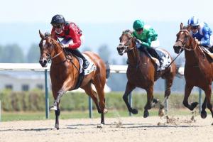 Shadwell Calvados Preview: Will the genius come out of the bottle? Shadwell Calvados Preview: Will the genius come out of the bottle?