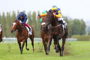 Minerve History: The Deauville Oaks