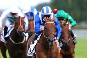 Qatar Arc Road : A new pretender is revealed at Deauville