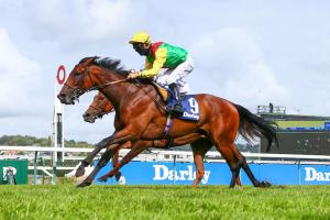 Darley Jean Romanet Report: Audarya out in the sun Darley Jean Romanet Report: Audarya out in the sun