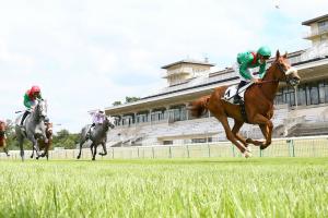 Darley Pomone Preview: Ebaiyra vs. the Ladies Darley Pomone Preview: Ebaiyra vs. the Ladies