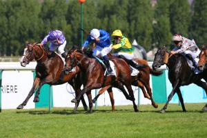 Shadwell Daphnis Preview: A way up or an opportunity Shadwell Daphnis Preview: A way up or an opportunity